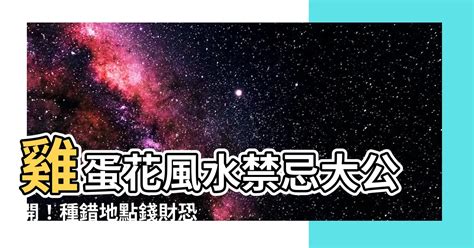 雞蛋花風水禁忌|【雞蛋花風水】雞蛋花風水擺設：破解煞氣、招福旺運 – 每日新聞。